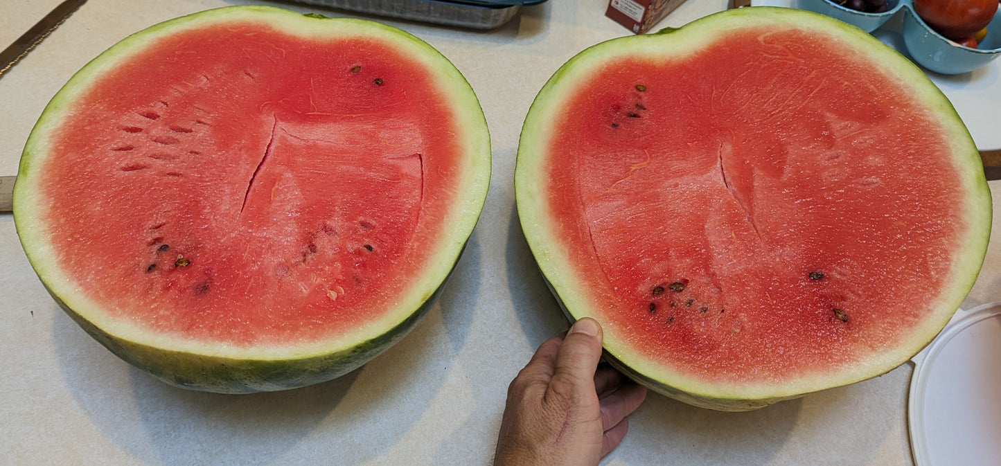 Watermelon sliced